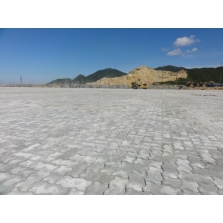 廣州中造船碼頭磚路面項目